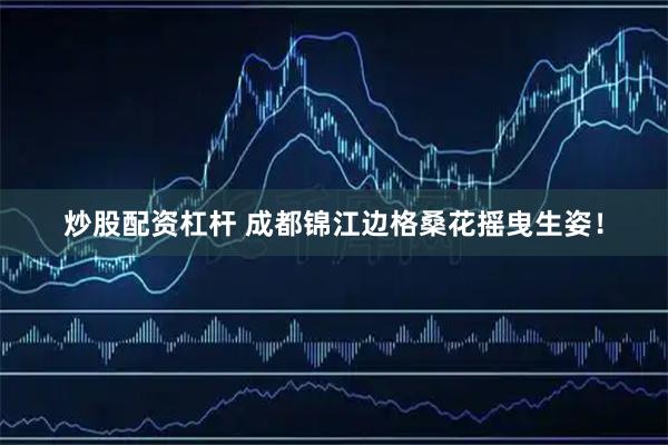 炒股配资杠杆 成都锦江边格桑花摇曳生姿！